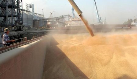 Планы Украины по экспорту зерна