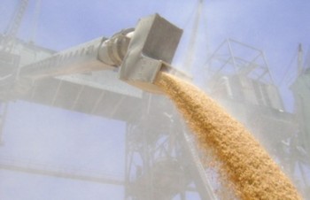 UkrlandFarming будет развивать экспорт зерна в Китай