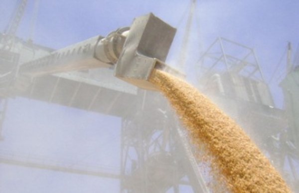 UkrlandFarming будет развивать экспорт зерна в Китай