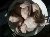 Мясо(тушки) перепелов.