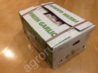 <strong>чеснок</strong>