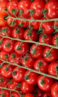 Томаты