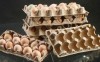 Линия по производству упаковки для яиц