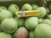 Яблоки Слава Победителя