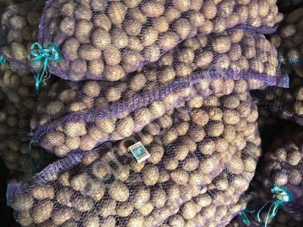 Картофель гала. Калибр от 3 до 5