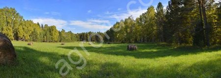 Земля с/х назначения 350 га