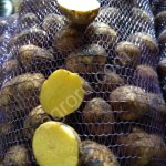 Картофель оптом