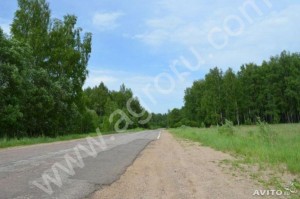 Участок 1 Га.