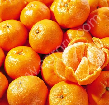 свежий мандарин