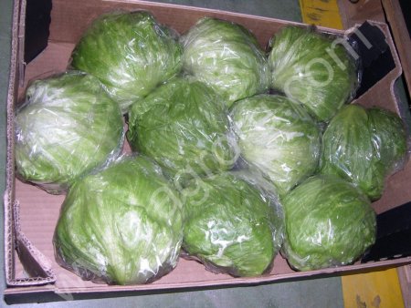 Молодая капуста