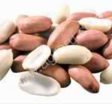 услуги жарки (солки) орехов.