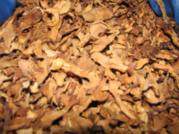 Грибы лисички сушеные