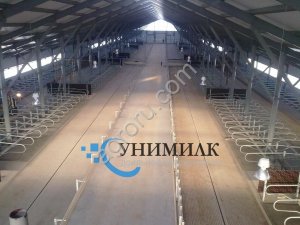 Стойловое оборудование для беспривязного содержания КРС от завода Унимилк