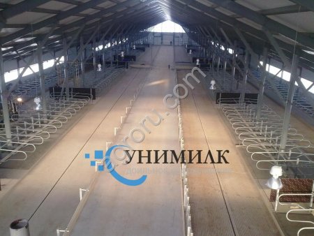 Стойловое оборудование для беспривязного содержания КРС от завода Унимилк