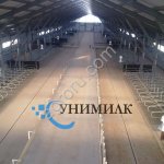 Стойловое оборудование для беспривязного содержания КРС от завода Унимилк