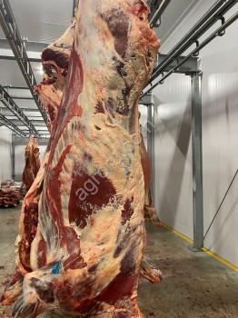 Мясо говядины HALAL