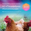 АО «Птицефабрика «Комсомольская»