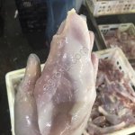 Филе грудки курицы несушки