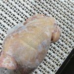 суповая курица, несушка