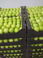 Грени / Красный Джерамин