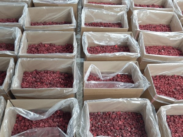 замороженная малина