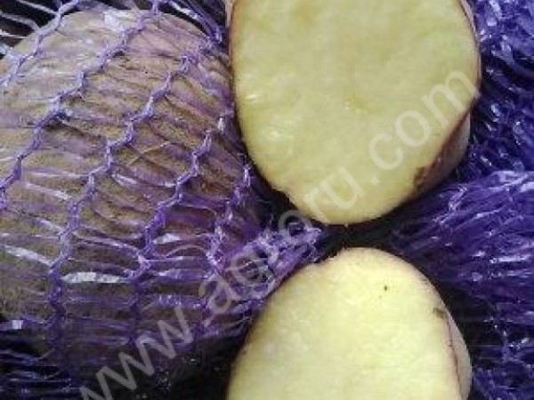 Картофель