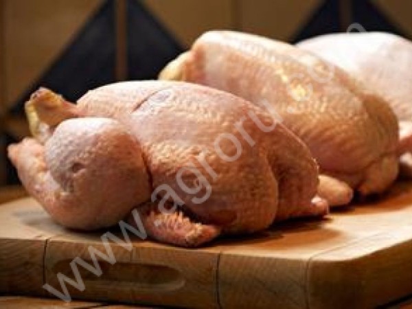 Курица тушка, ГОСТ, 1 сорт, вес 2.4-3.2 кг, охл./зам.