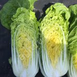 Капуста пекинская оптом