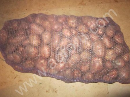 Картофель от производителя