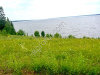 Сельхозземля