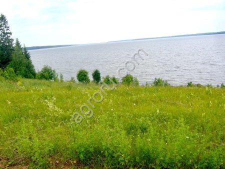 Сельхозземля