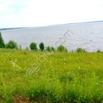 Сельхозземля