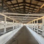 Фермерское хозяйство 43 Га