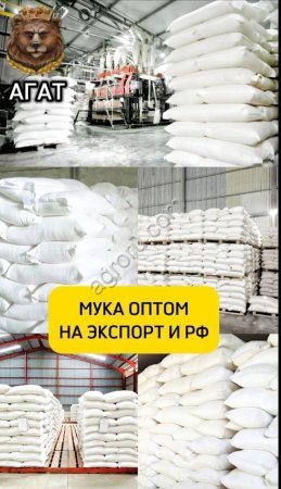 Мука пшеничная по России и на Экспорт