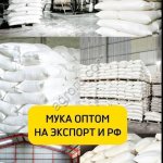 Мука пшеничная по России и на Экспорт