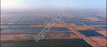 рыбоводческое (прудовое) хозяйство, 1288 Га. Готовый бизнес полного цикла