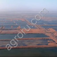 рыбоводческое (прудовое) хозяйство, 1288 Га. Готовый бизнес полного цикла