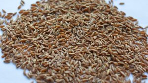 Крупа полбы цельнозерновая, кг