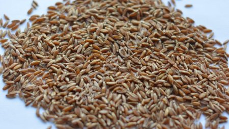 Крупа полбы цельнозерновая, кг