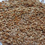 Крупа полбы цельнозерновая, кг