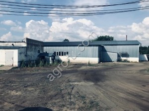 Хлебоприёмное предприятие (готовый бизнес)