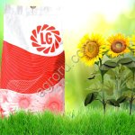 Гибриды семена подсолнечника ЛГ5654, ЛГ5663,ЛГ5463 (Лимагрейн, Limagrain) (Clearfield)