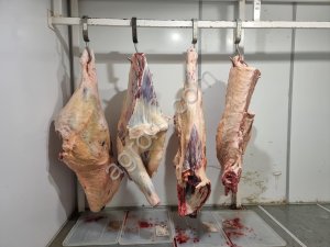 Говядина Герефордской породы