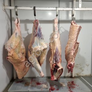 Говядина Герефордской породы