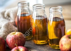 Оборудование для производства натурального сока INDERST