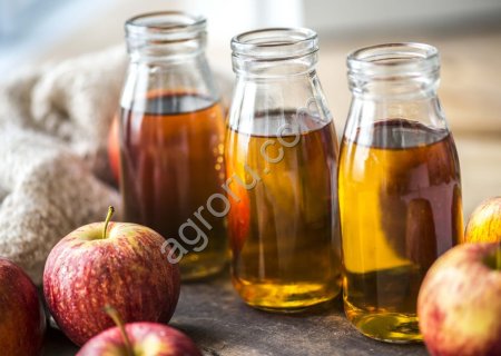 Оборудование для производства натурального сока INDERST