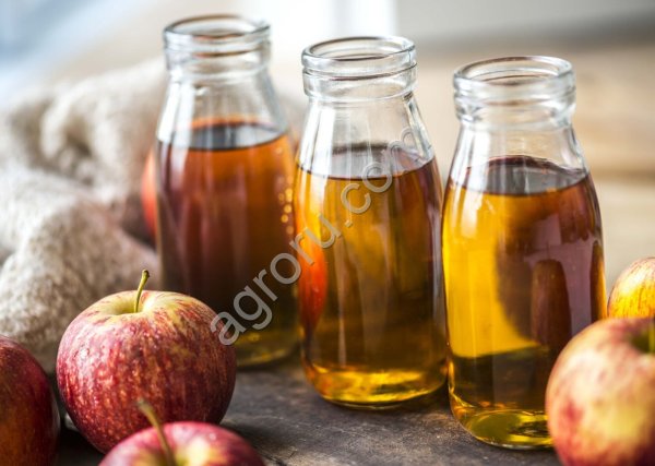 Оборудование для производства натурального сока INDERST