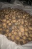 Картофель