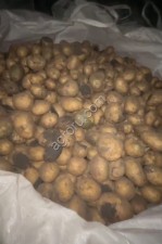 Картофель