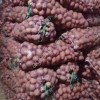 Картофель